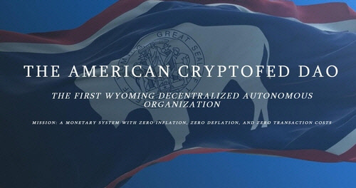 '탈중앙 자율조직' 법인으로 인정된 '더 아메리칸 크립토페드 다오'. ['더 아메리칸 크립토페드 다오' 홈페이지 캡처]